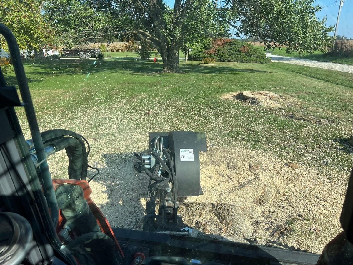 Stump Grinding for Baker Professional Services LLC in Shelbina, MO