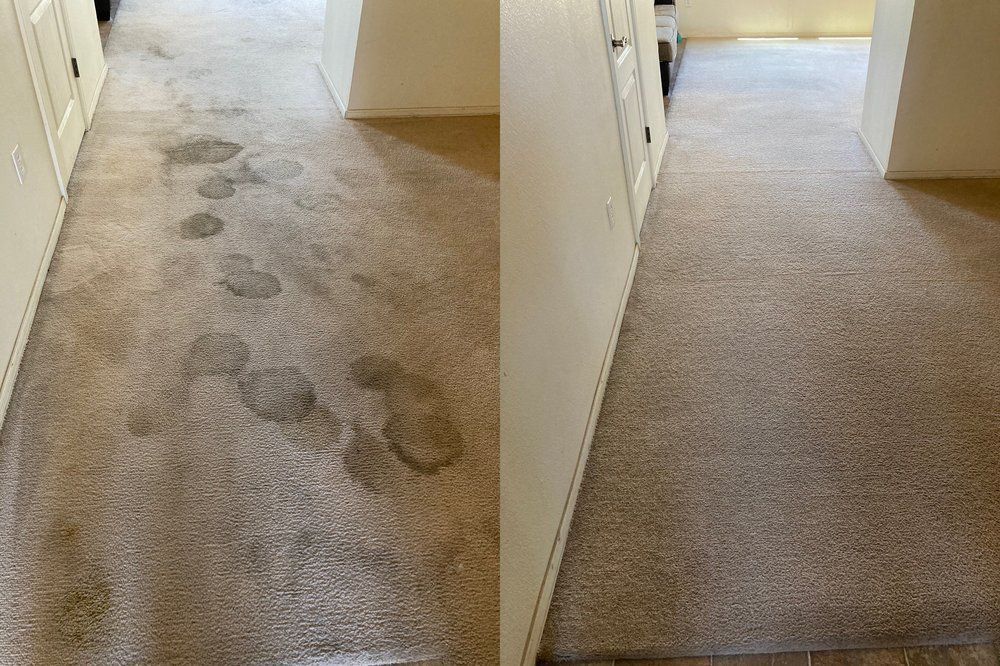 Pet Odor Removal for SOS Carpet, Furniture & Tile Cleaning in Boynton Beach,, FL