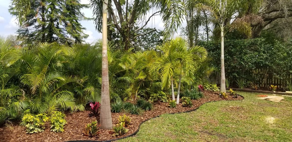 Landscape Installation for Tezna Landscaping, Trees & Pavers in Valrico, FL