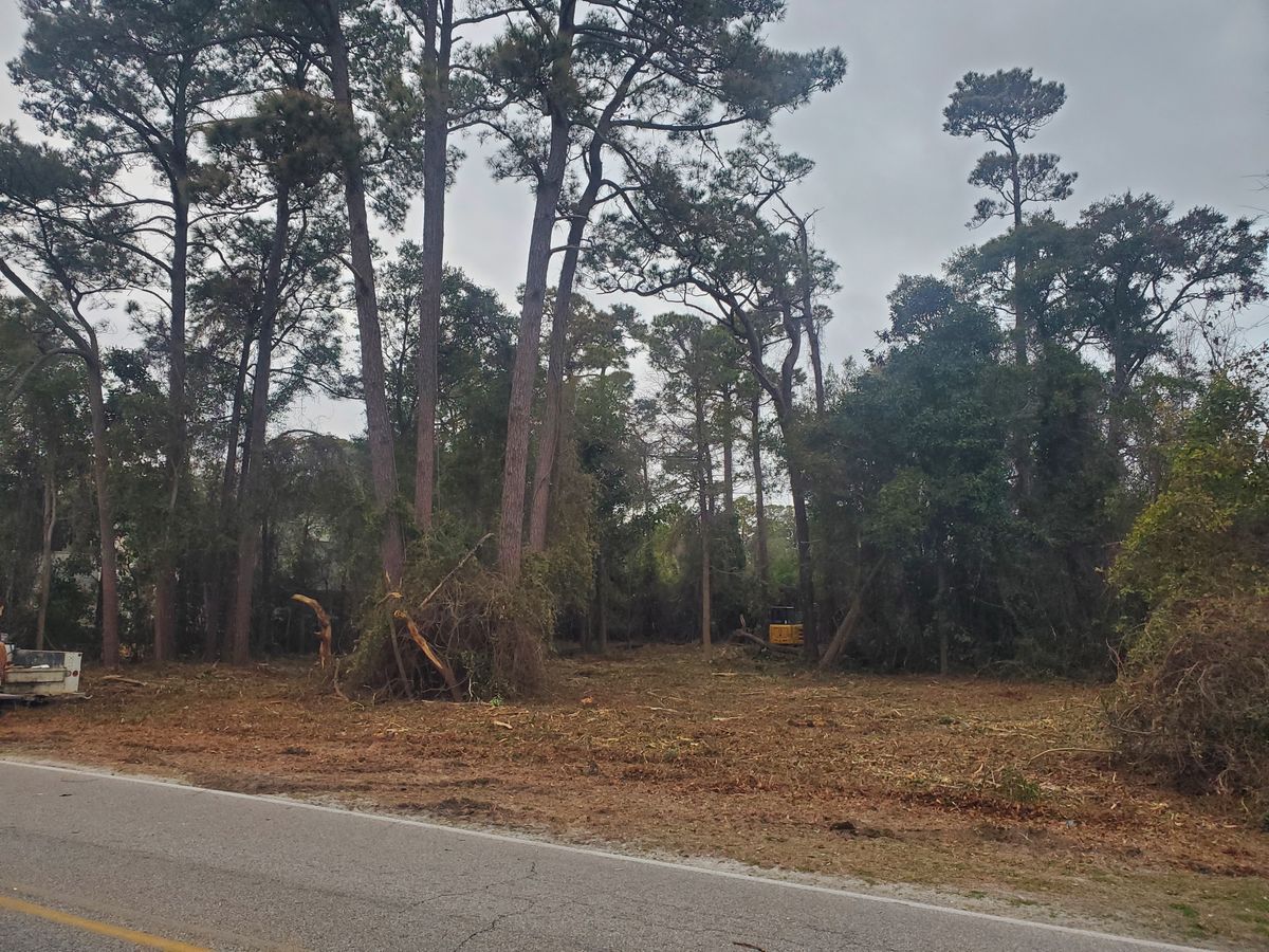 Lot Clearing for TJ Farm and Land Management in Loris, SC