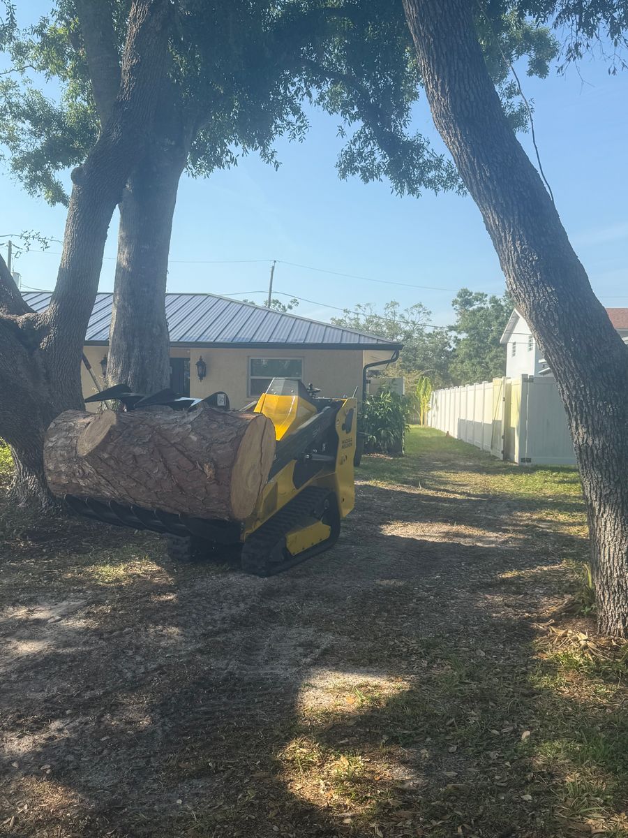 Stump Removal for Damian’s Tree Care in Sarasota, FL