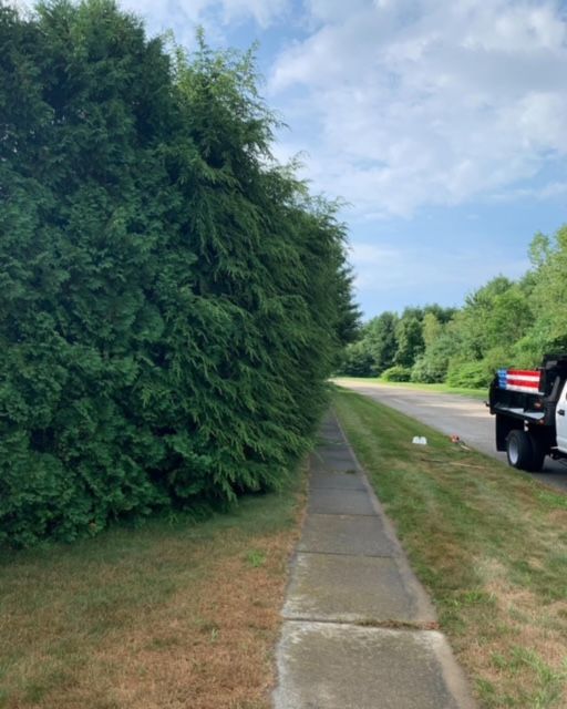 Trimming and Shearing for B&L Management LLC in East Windsor, CT