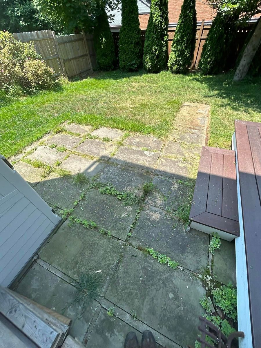 Fall Clean Up for Jose Gonzalez Landscaping in Stamford, CT