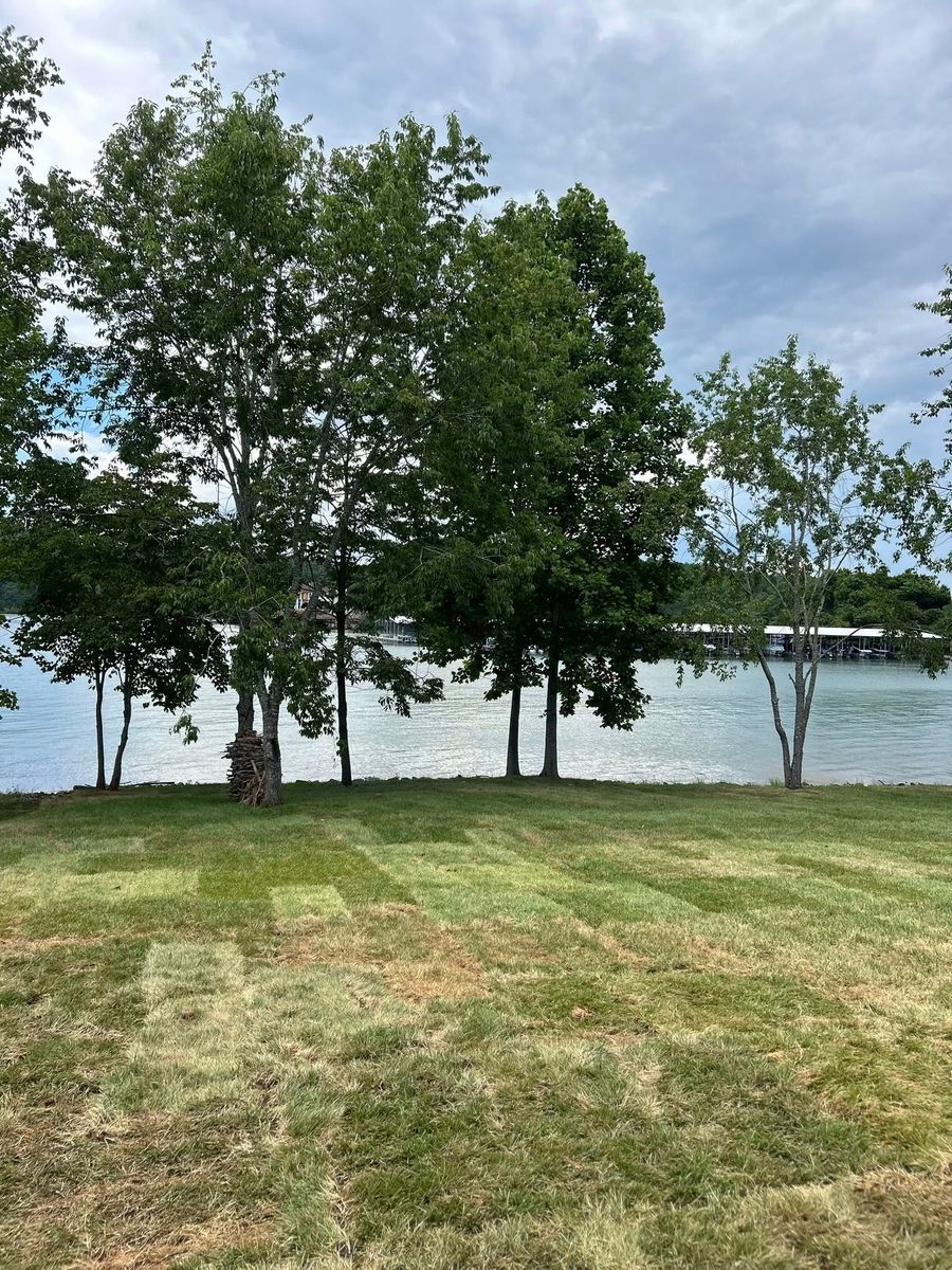 Turf Solutions for MountainScapes in Vonore, TN