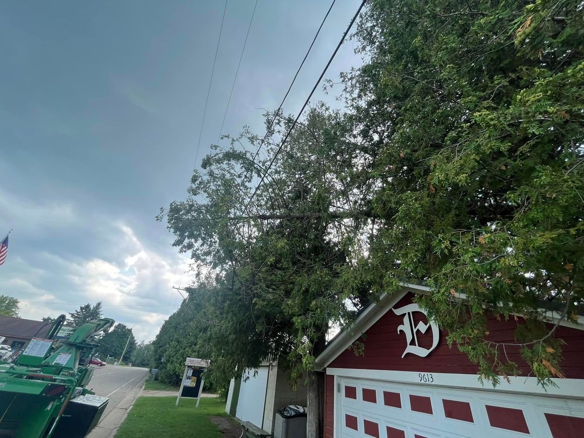 Storm Damage Cleanup for Tree-B-Gone in Shawano, WI