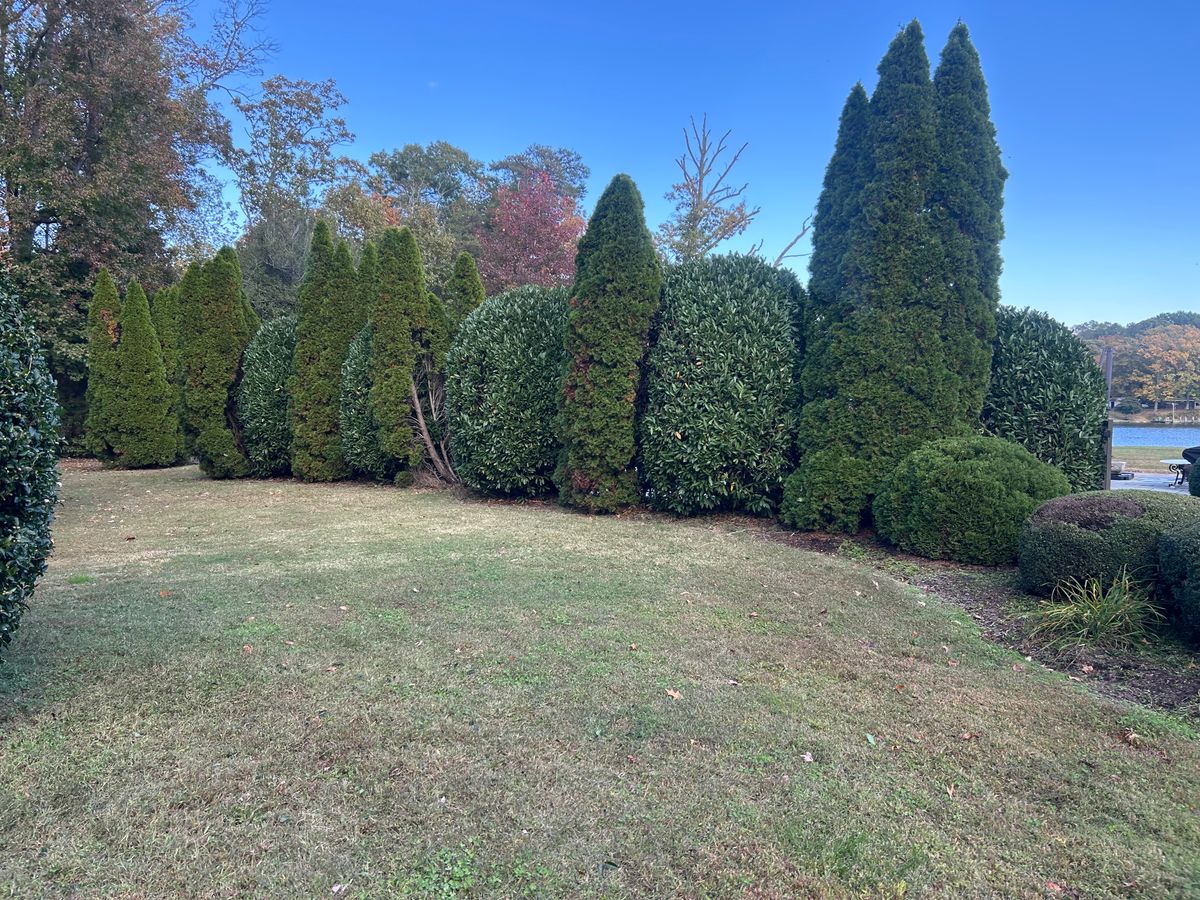 Lawn Aeration and Seeding for The Whole 9 Yards Landscape VA in Heathsville, VA