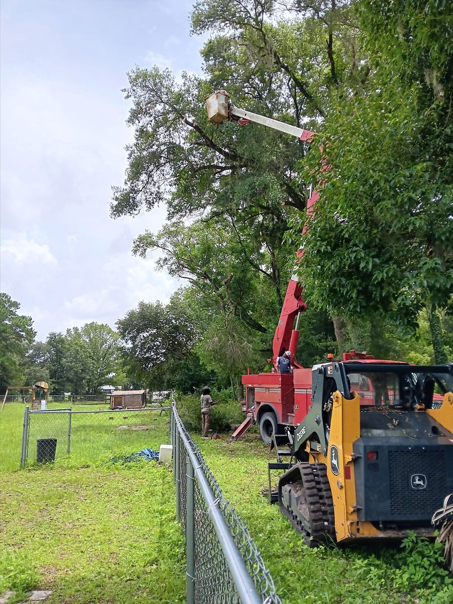 Tree Trimming for Asbell's Tree & Land Services in Gilchrist County, FL