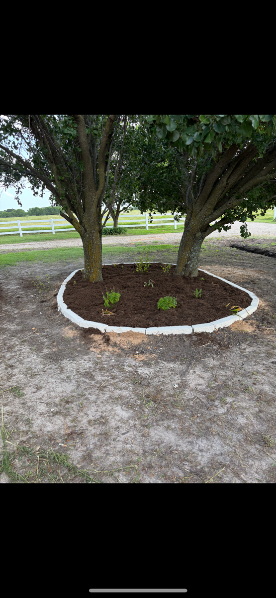 Mulch Installation for Piña’s Lawncare in Waco, TX