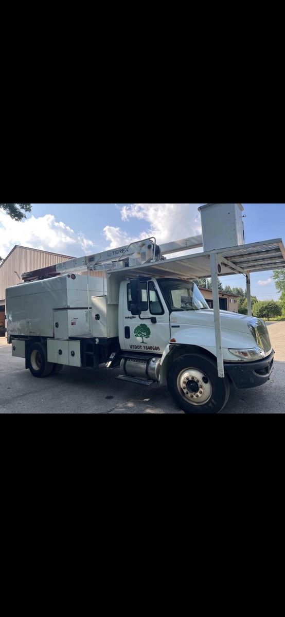 Tree Trimming for Dig-It Tree Company in Mason, OH