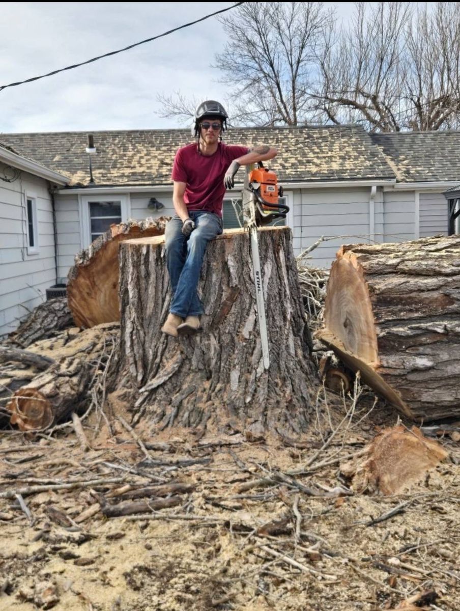 Tree Removal for SMH Tree Service in Atwood, KS
