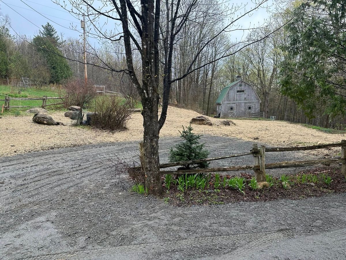 Property Grading for TBC Custom Trades in West Burke, VT