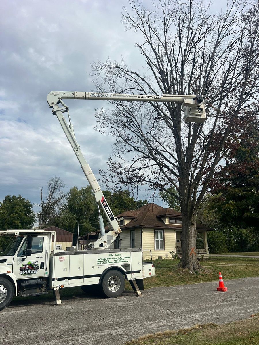 Property Clean Up for Baker Professional Services LLC in Shelbina, MO