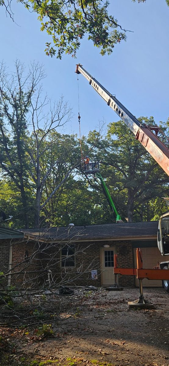 Crown Reduction for Olson Tree Service, Inc in Rockford, IL