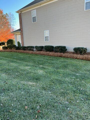 Shrub Trimming for Dream Cuts Landscaping and Lawn Care LLC in Gastonia, NC