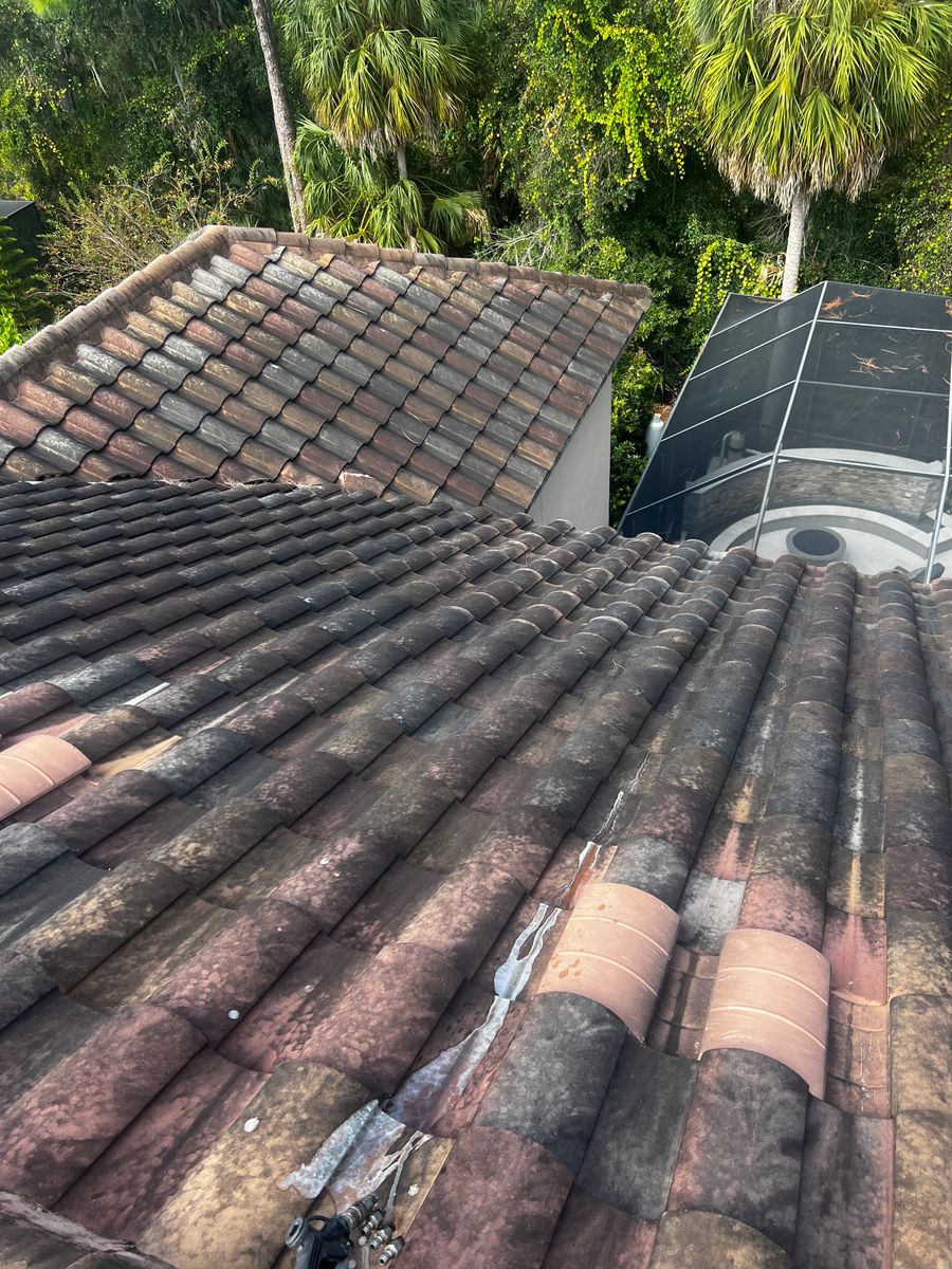 Exterior Cleaning for Barr None Wash Pro in Tampa, FL