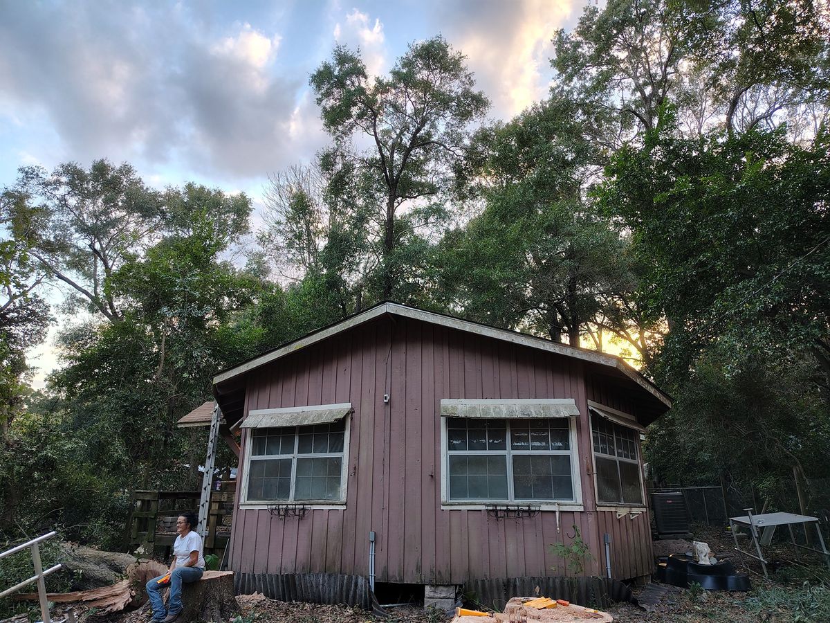 Tree Removal for Alpers Tree Services in Cleveland, TX