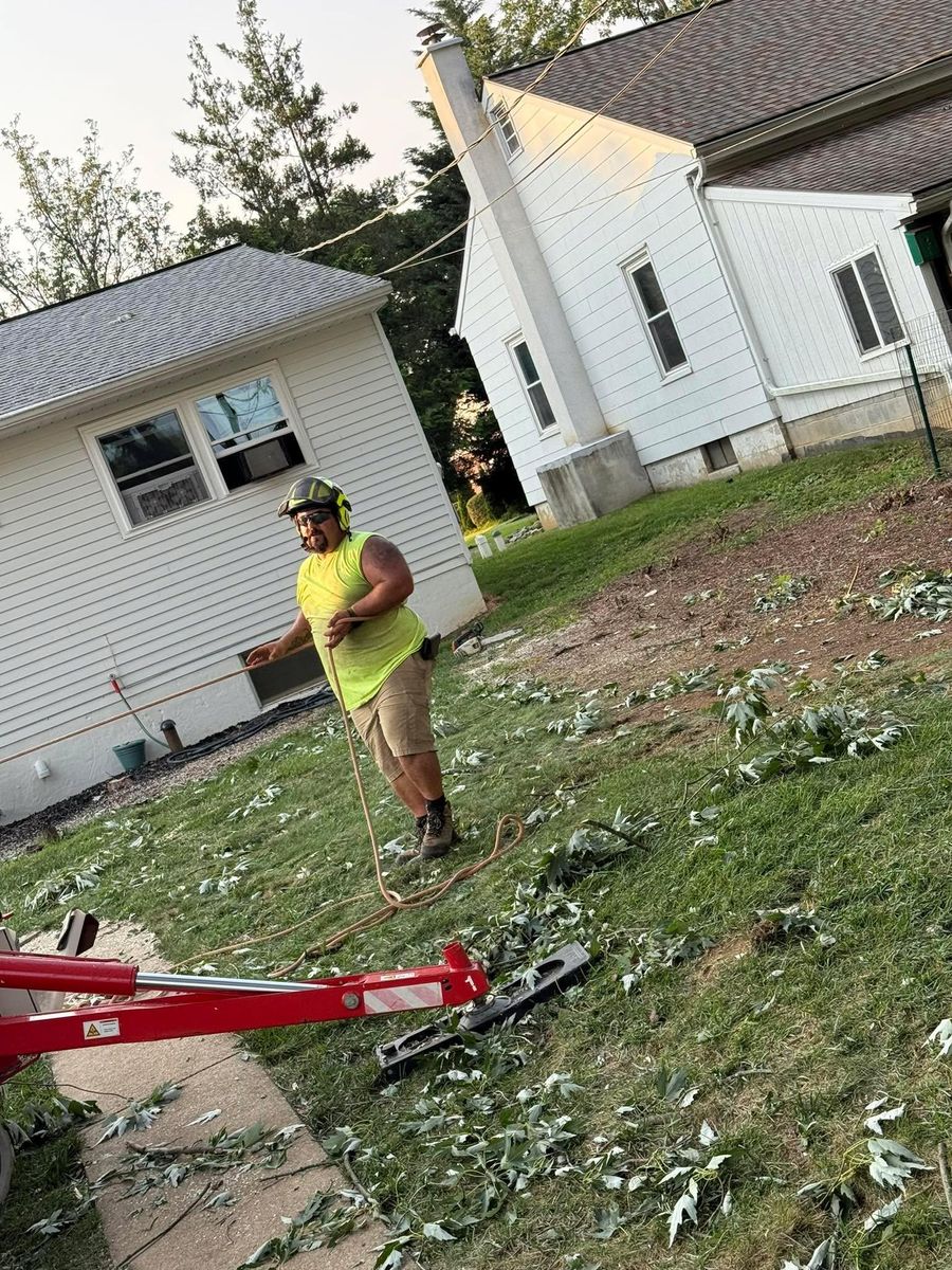 Tree Services for Jonathan A. Henne Property Services. in Hamburg, PA