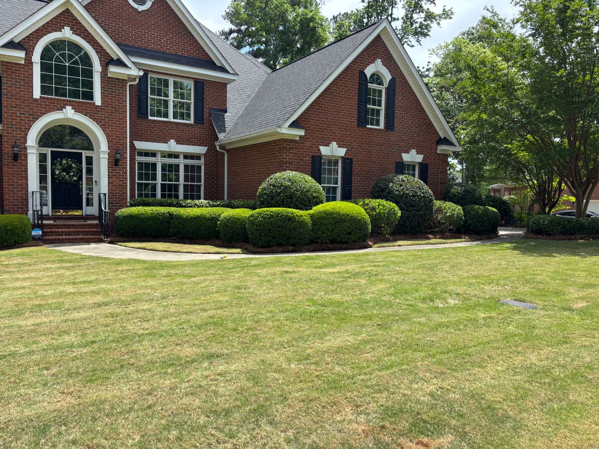 Shrub Trimming for Jonathan landscaping in Lexington, South Carolina