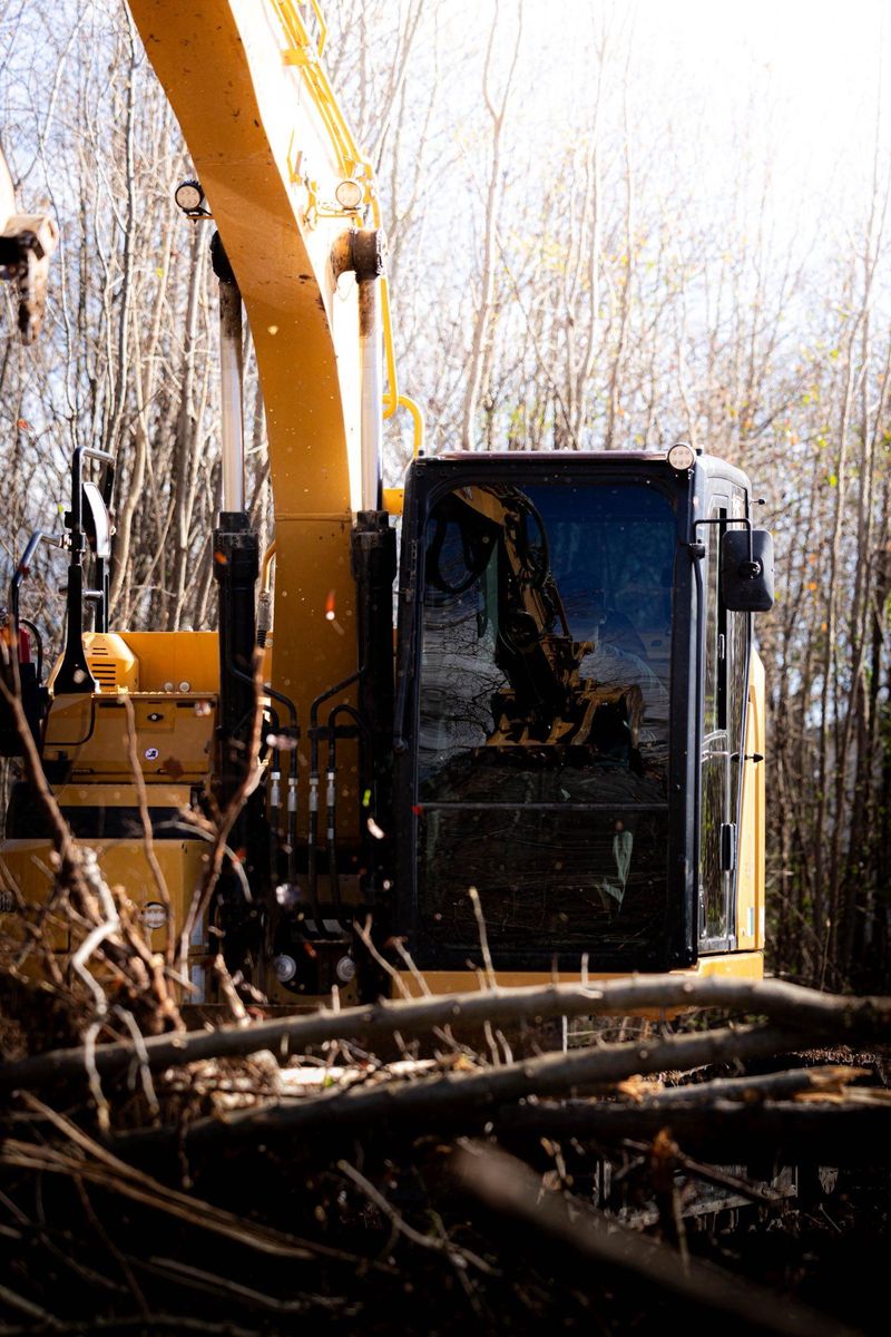 Land Clearing for Collins Constructors in Fyffe, AL