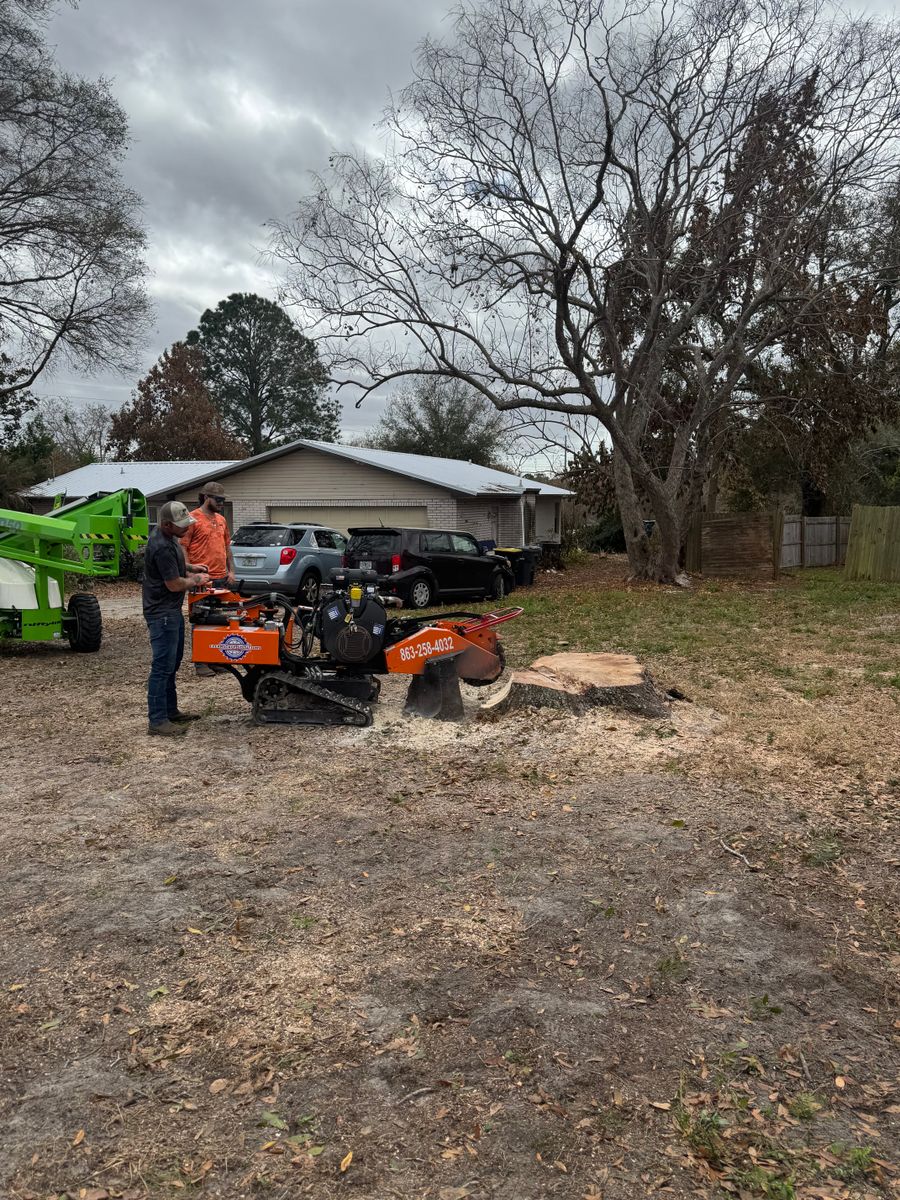 Tree Trimming & Removal for Heverly Land Solutions in Winter Haven, FL