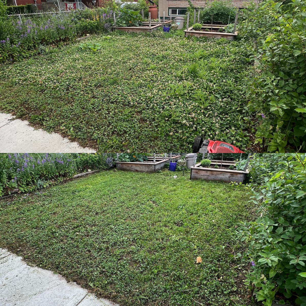 Lawn Care for CMN Exterior Maintenance in Hamilton, ON