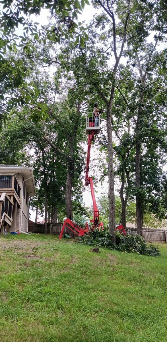 Tree Removal for Lawn Ranger Yard And Tree Service LLC in Ottumwa, IA