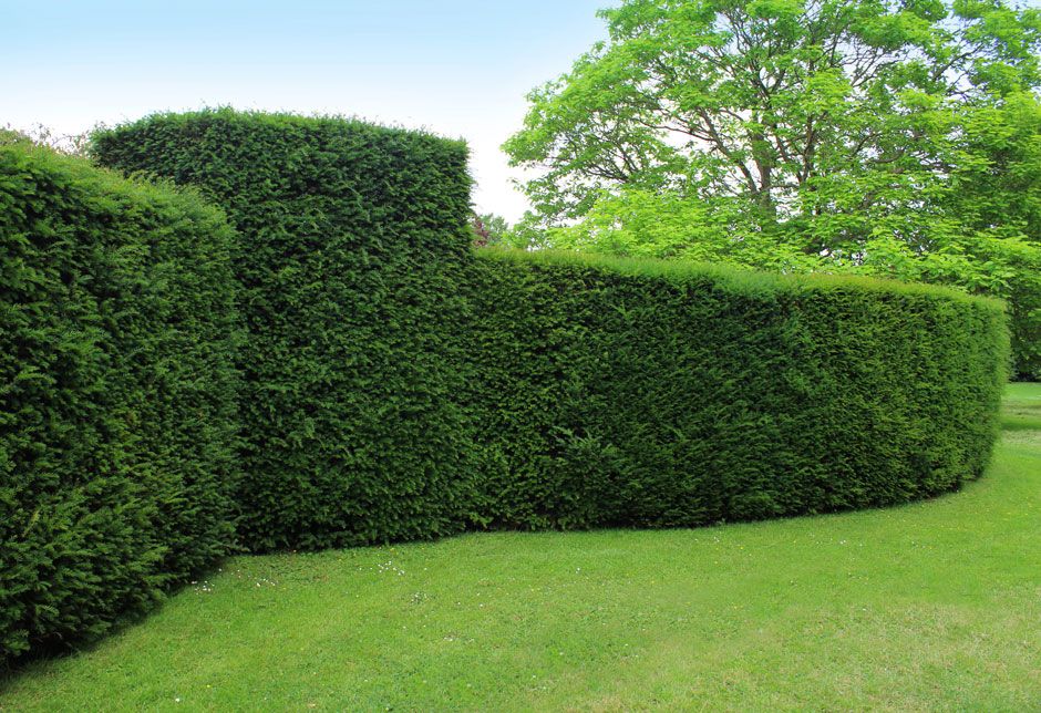 Shrub Trimming for Wininger Landscaping in New Richmond, IN