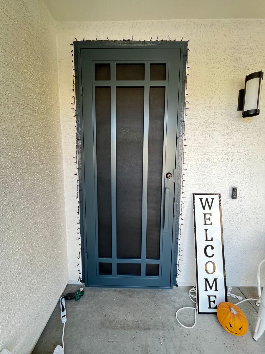 Modern Security doors for Metal Art Deco in Glendale,  AZ