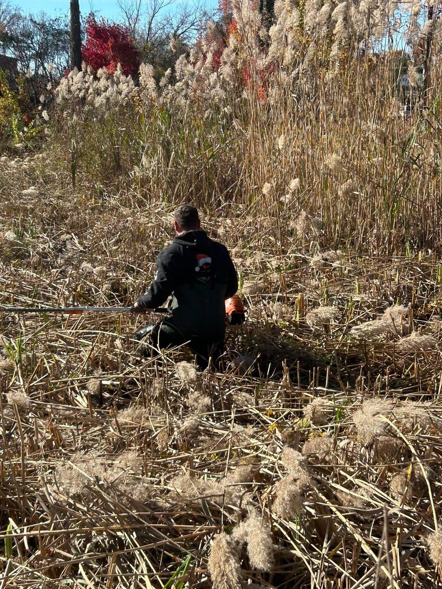 Fall Clean Up for Silburn Lawn & Landscape in Odenton, MD