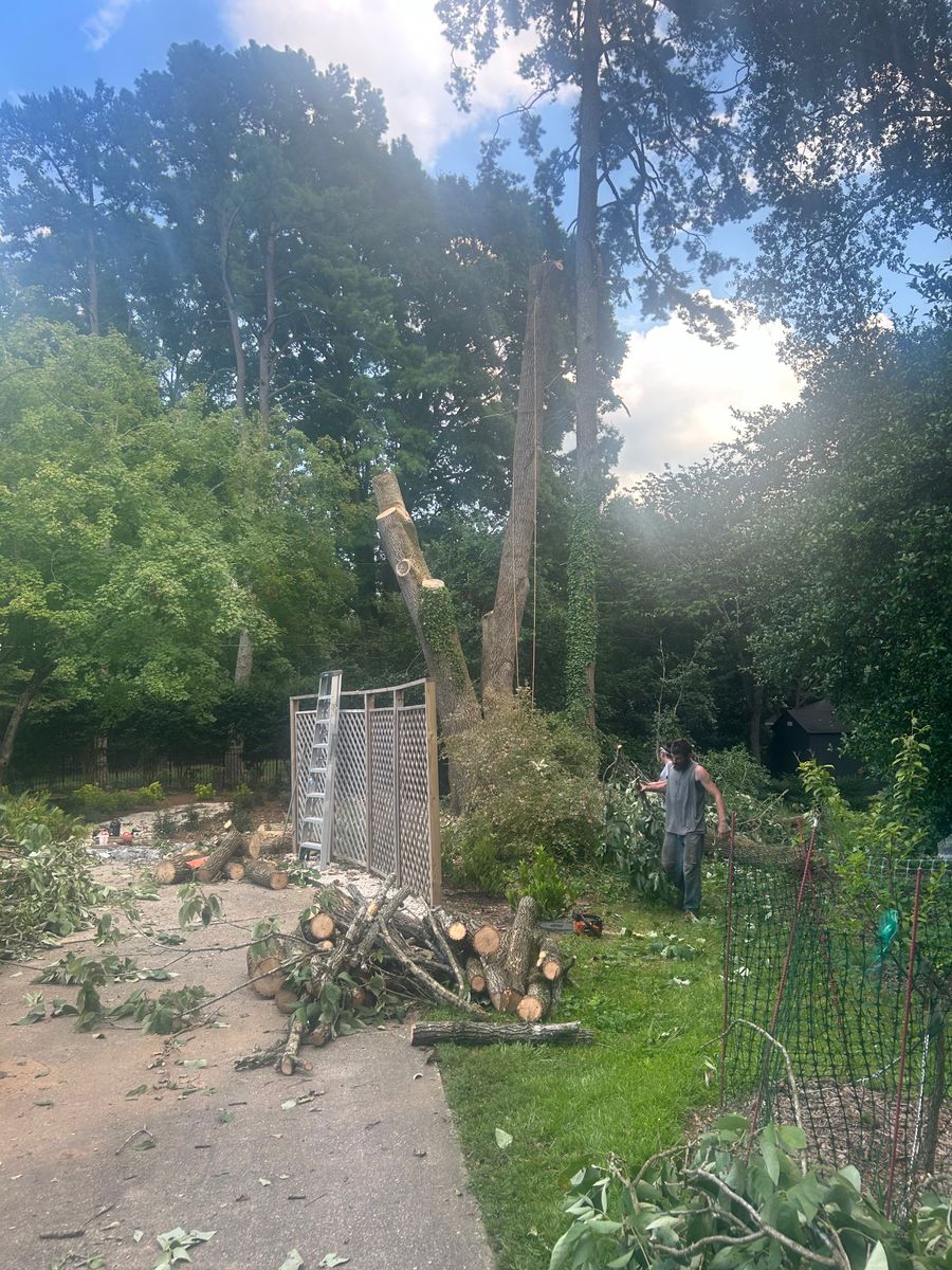 Tree Trimming for Oakhurst Landscaping and Tree Service in Charlotte, NC