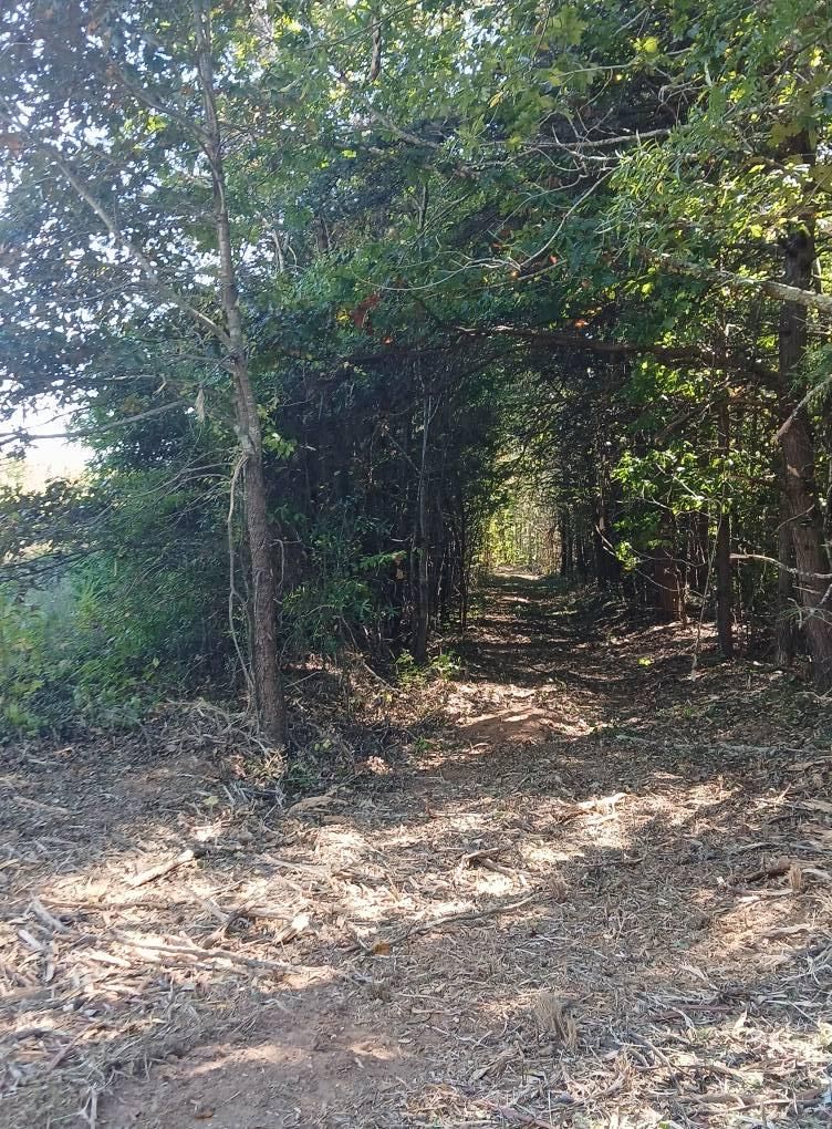 Site Preparation for Whiskey Ridge Mulching & Land Services in South Boston, VA