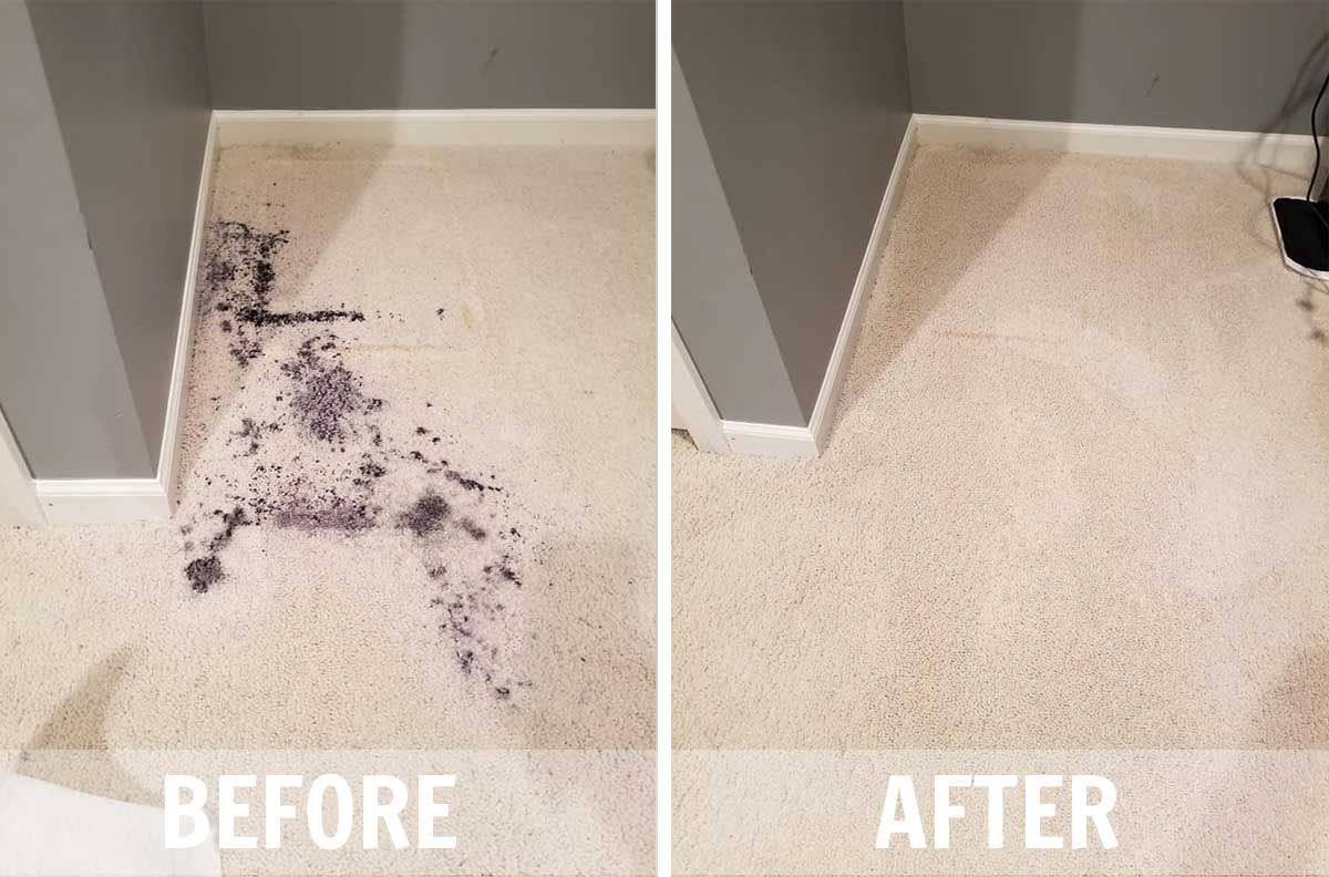 Carpet Cleaning for SOS Carpet, Furniture & Tile Cleaning in Boynton Beach,, FL