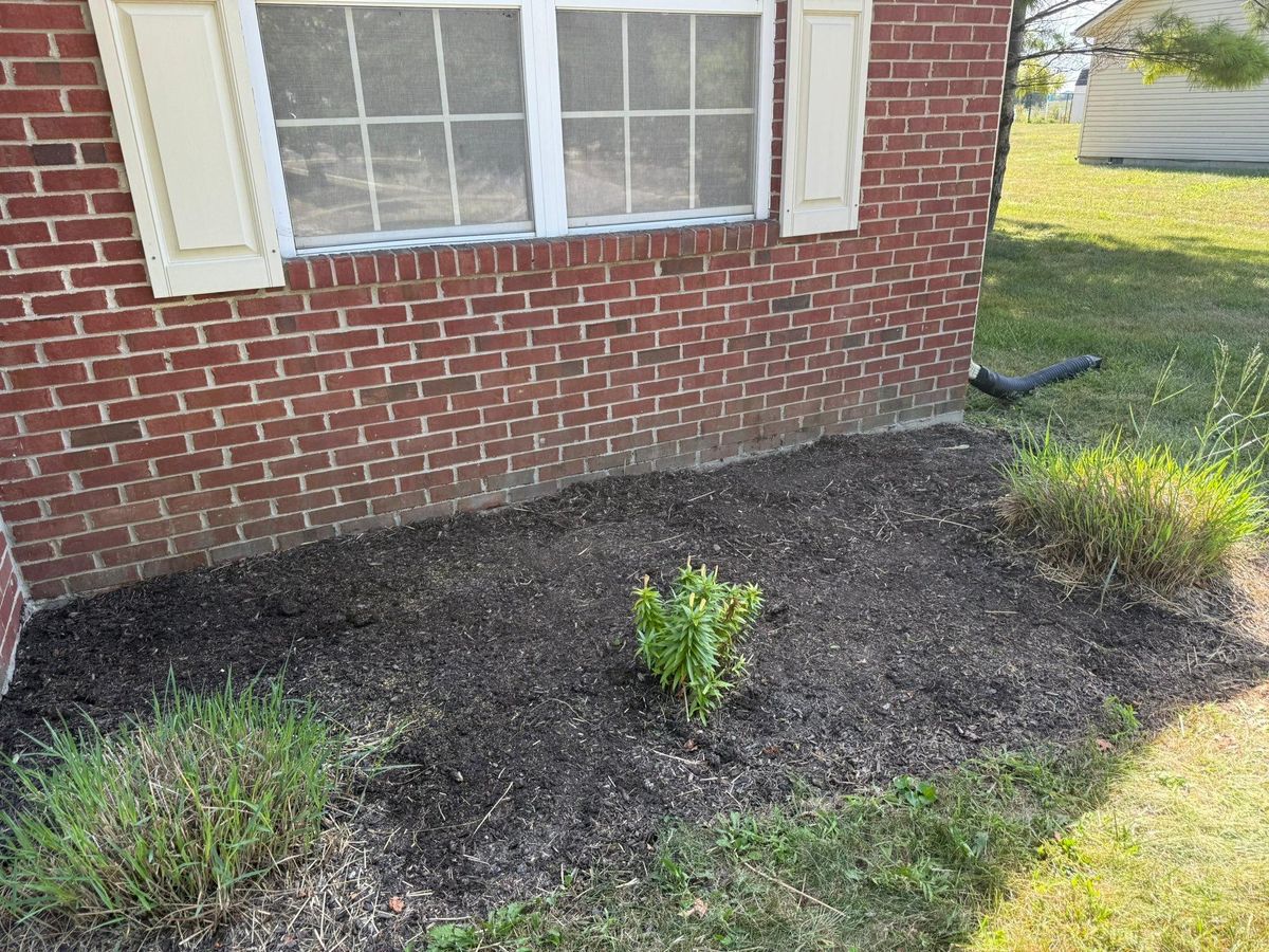 Landscaping for Bearforce Lawn Care LLC in Greenfield, IN