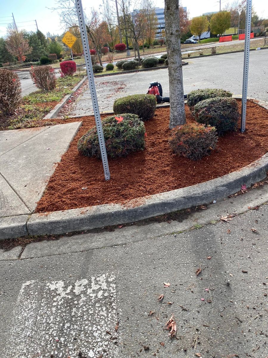 Shrub Trimming for Family Landscaping & Irrigation in Auburn, WA