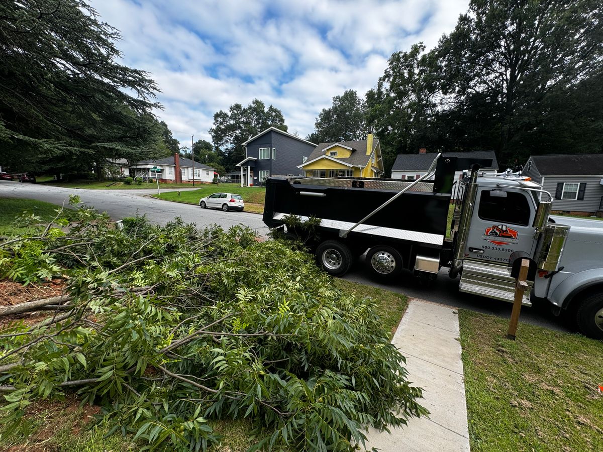 Land Clearing for Cone Grading and Land Clearing in Summerfield, NC