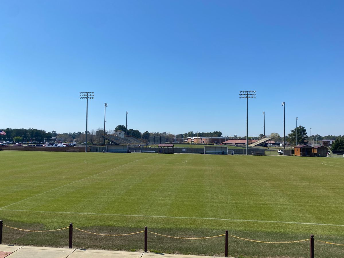 Insect & Weed Control for Turf's Up!  in Lumberton, NC