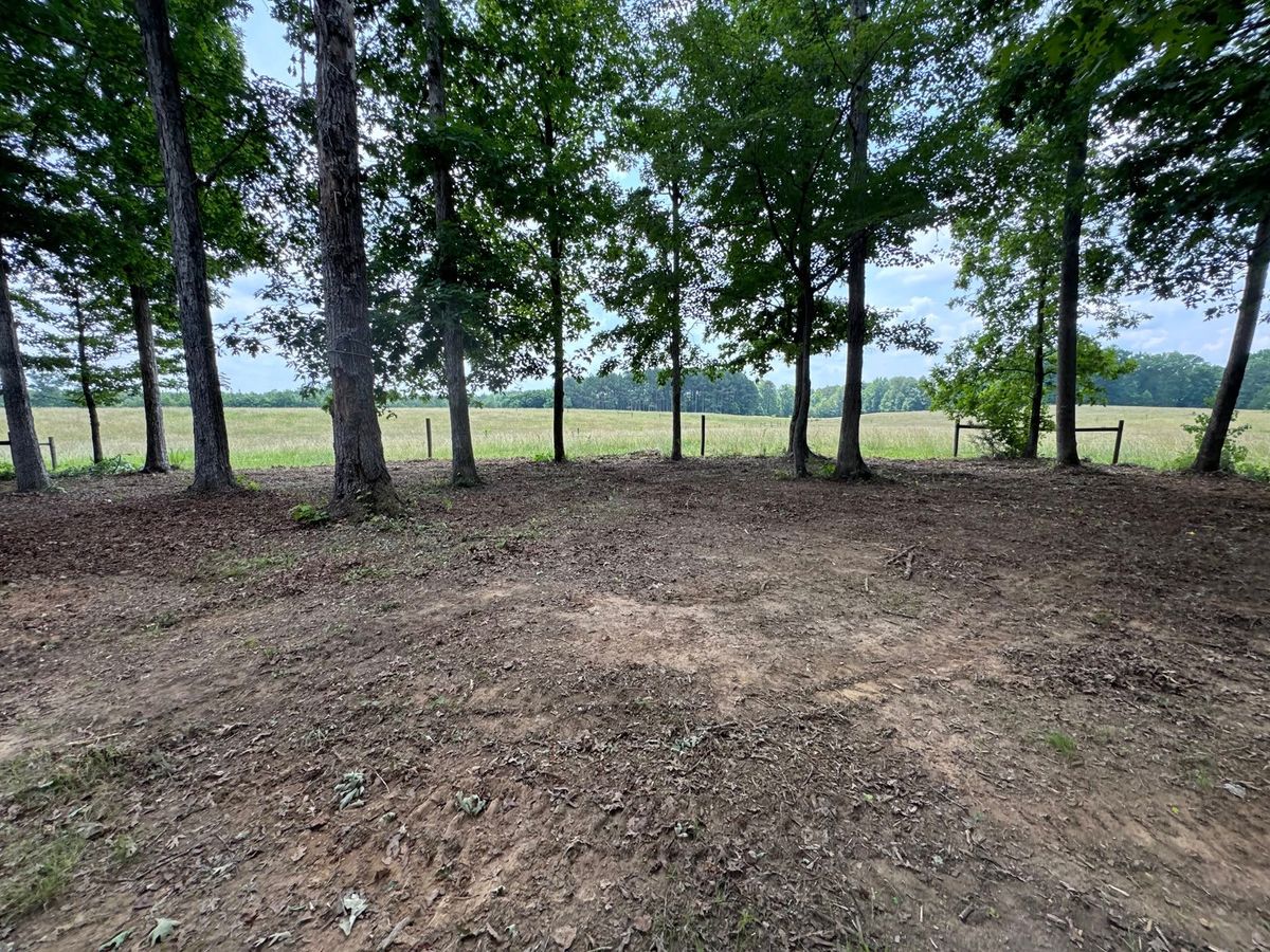 Forestry Mulching for Whiskey Ridge Mulching & Land Services in South Boston, VA