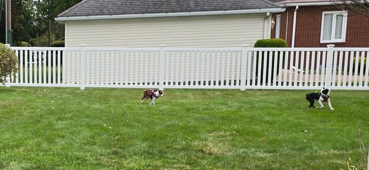 Fence Installation for Backyard Fence Solutions LLC in Uniontown, PA