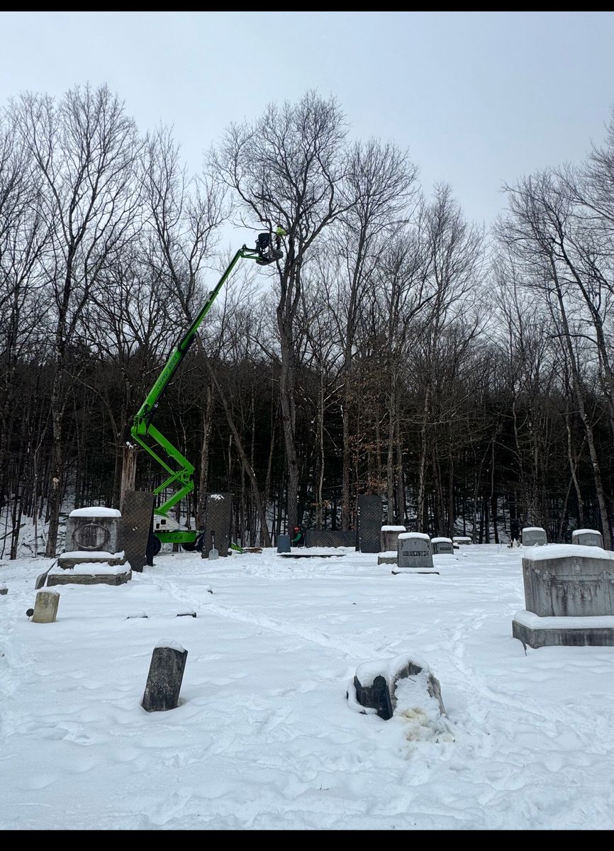 Tree Removal & Pruning for Clifford’s Quality Tree Care & Landscaping in Enfield, NH