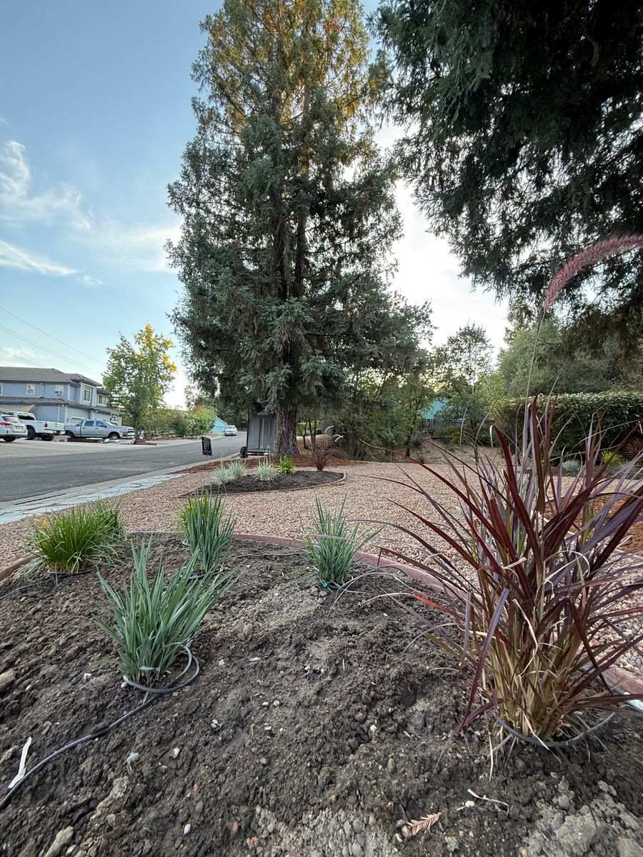 Landscape Installation for Diamond Landscape & Hardscape in Diamond Springs, CA