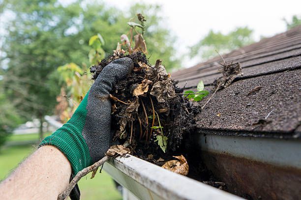 Gutter Cleaning for Get Things Done LLC in Franklin, GA