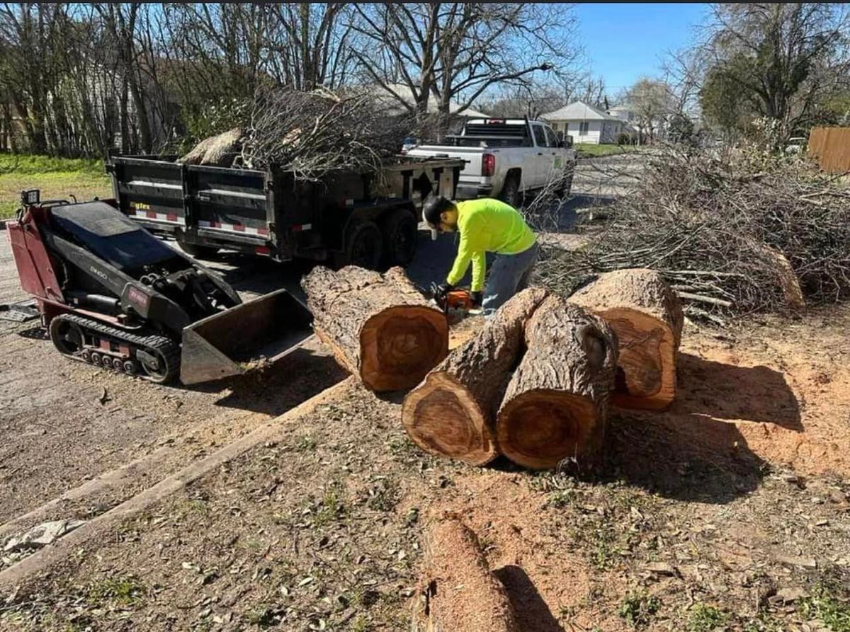 Tree Removal and Tree Trimming for Allen Lawn Care in Taylor, Texas