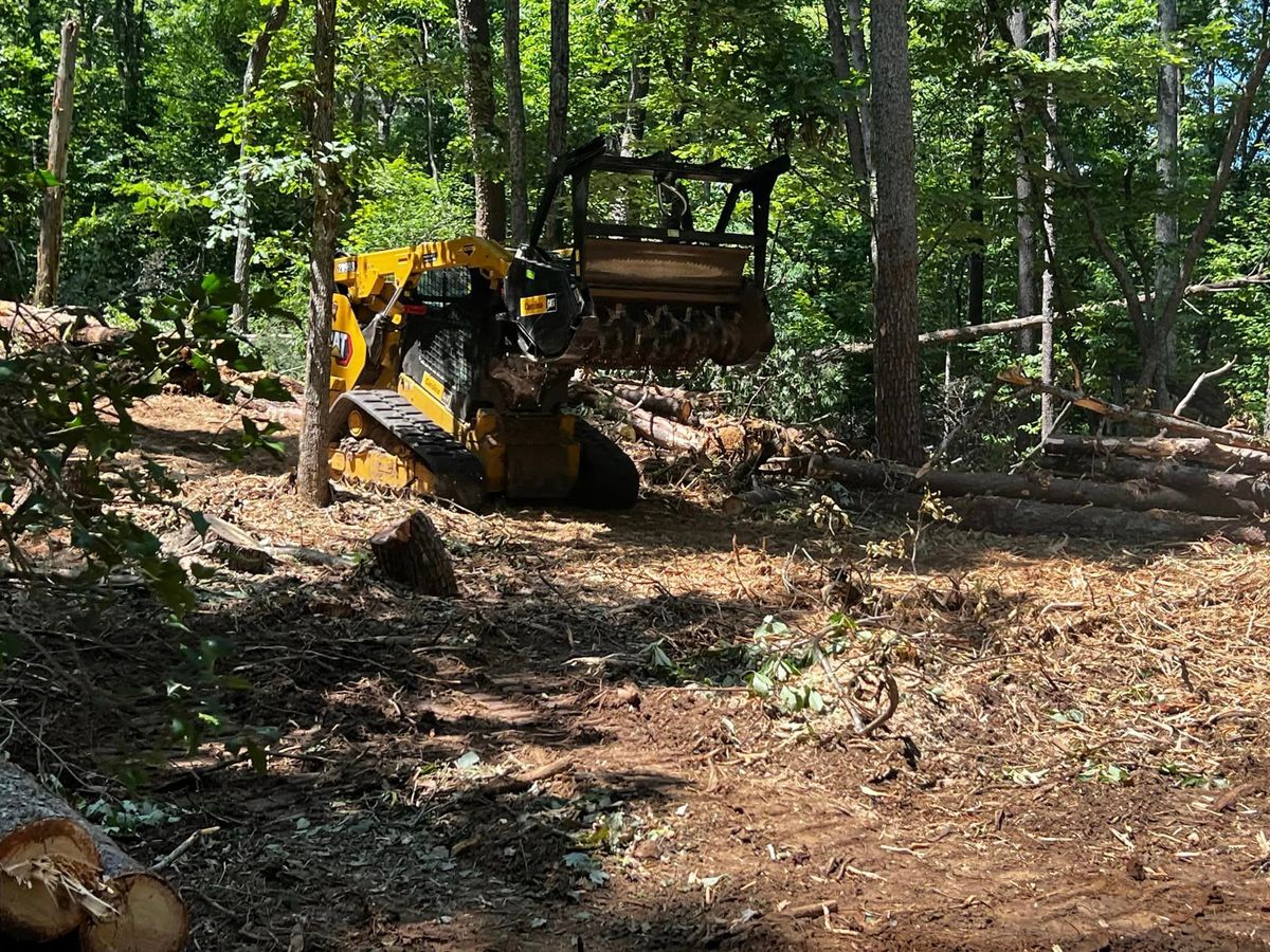 Forestry Mulching for Fav5 Hauling & Grading in Mount Airy, NC
