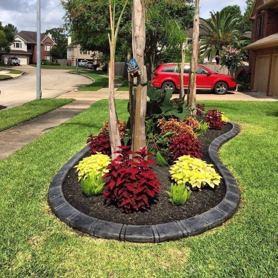 Landscaping for Texas Curb N Borders in Houston, TX