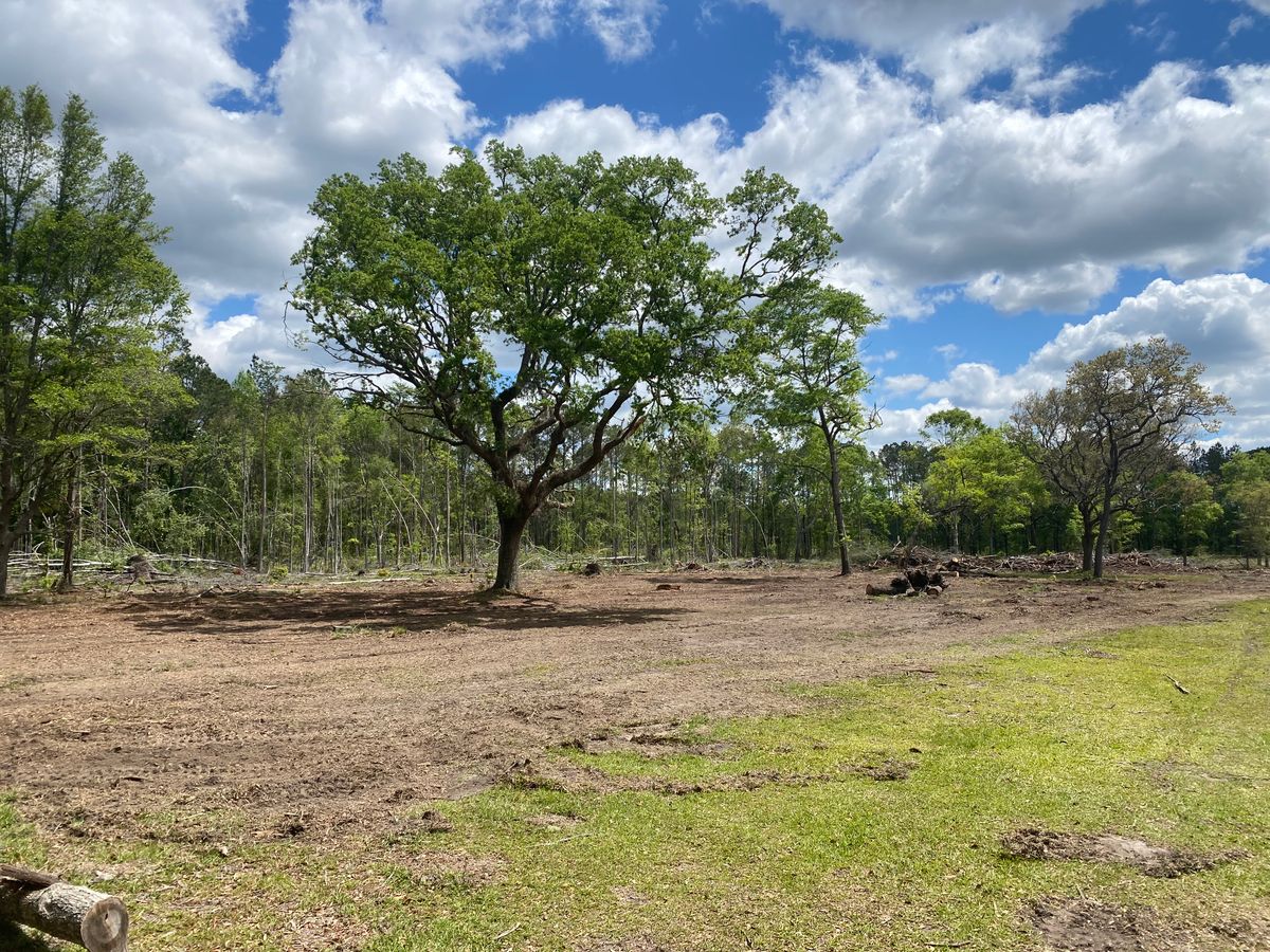 Forestry Mulching for T&S Land Management Services in Effingham County, GA