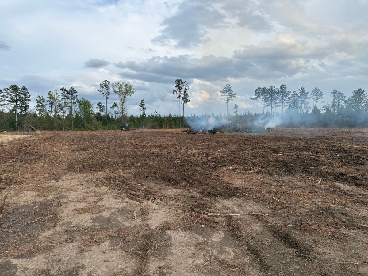 Land Clearing for T N L - Tree and Land Service in Reynolds, GA