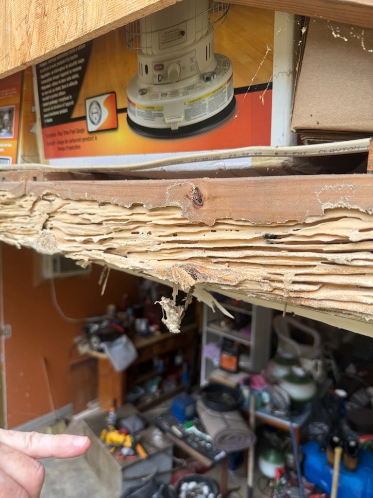 Termite Repair for JPH Builders Inc. in Milton, FL