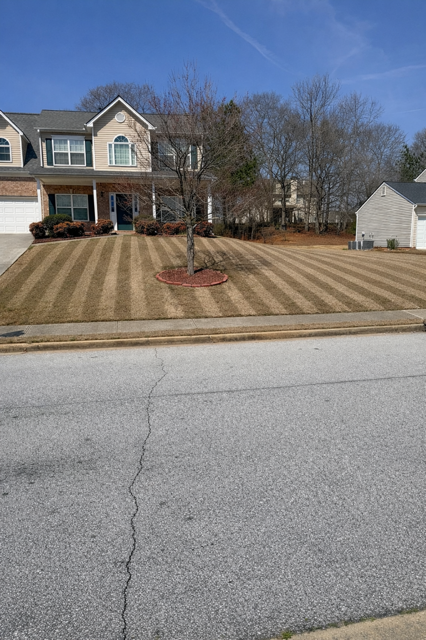 Yard Clean-ups for Clark's Cuts Lawn Care in Lilburn, GA