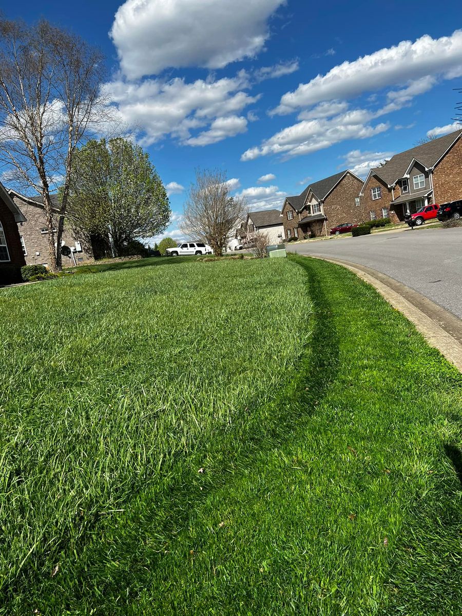 Lawn Aeration and Overseeding  for Team Bard Lawn Care SVC in Woodbury, TN