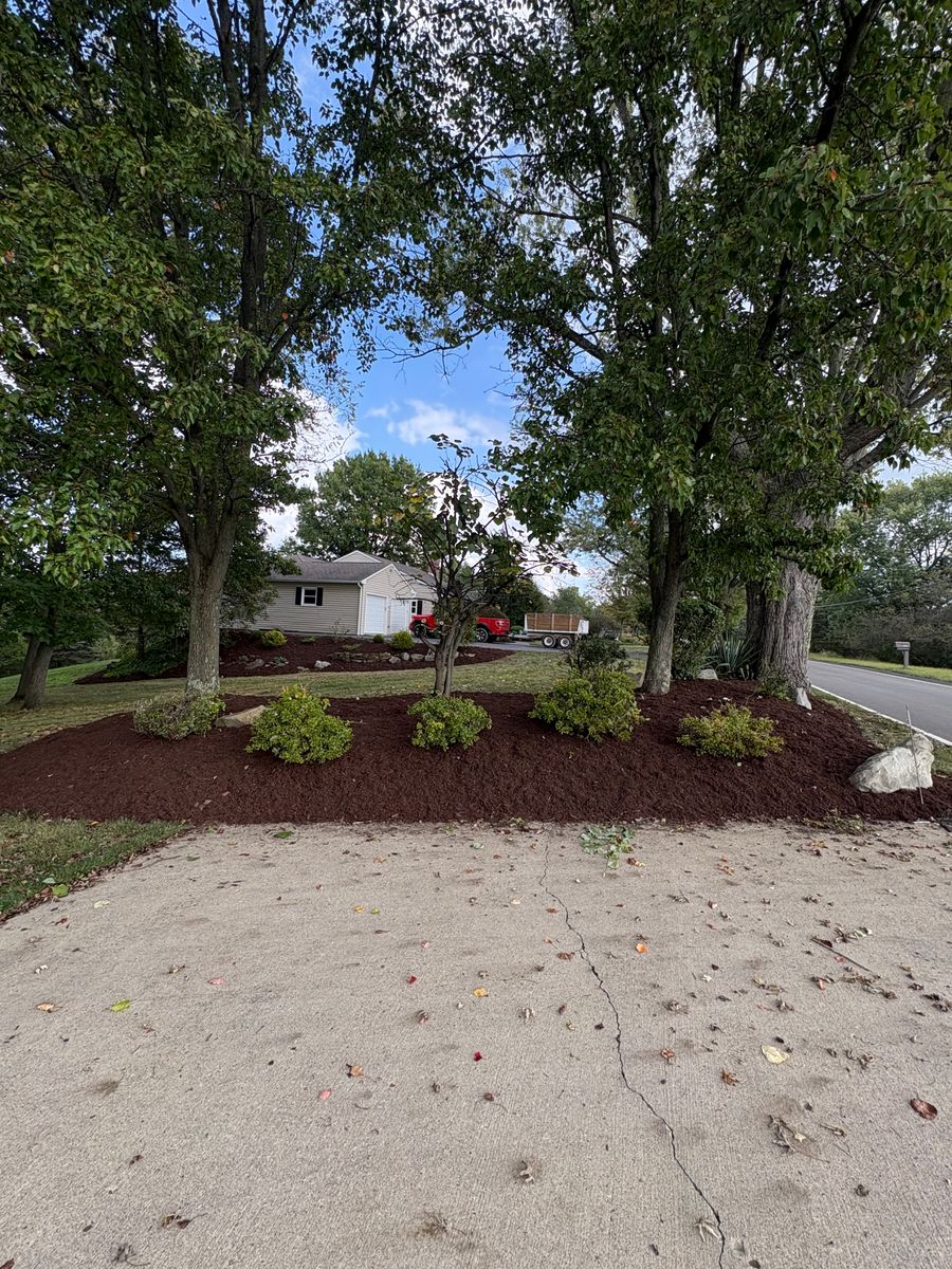 Spring & Fall Clean Up for Cam Yardz in Washington, PA